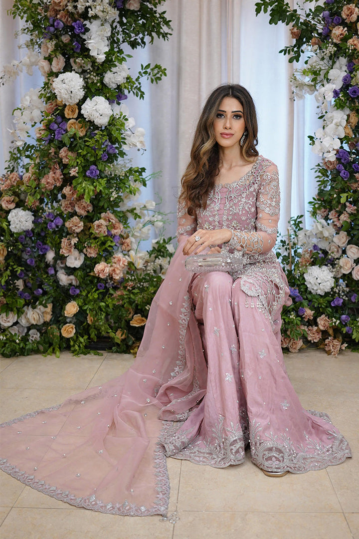 Rang Rasiya Organza Embroidered Unstitched 3PC SK-2420