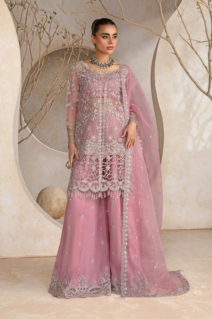 Rang Rasiya Organza Embroidered Unstitched 3PC SK-2420